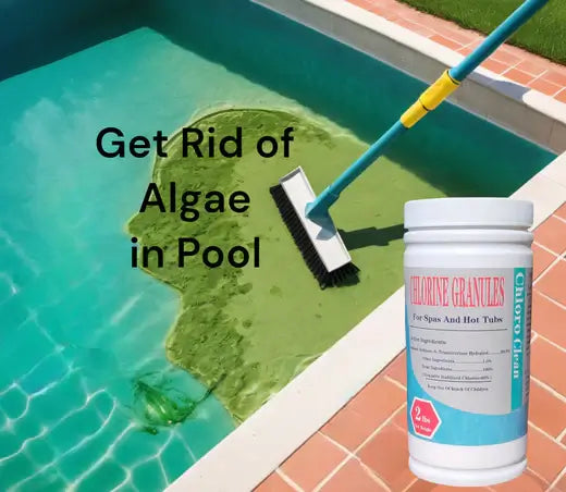 Pool Algae: Wise Tips To Get Rid Of It
