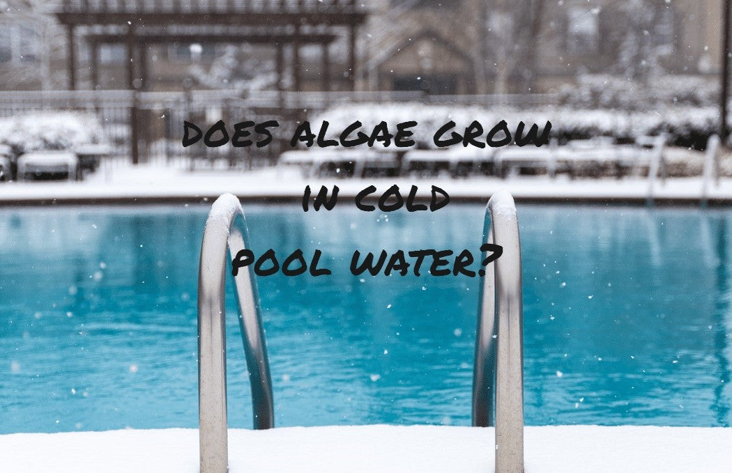 Is Algae Able To Grow Even If The Water Is Cold?